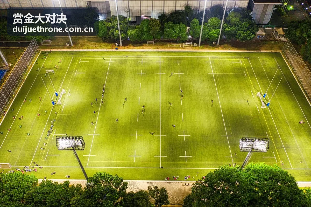 赏金大对决实战攻略指南